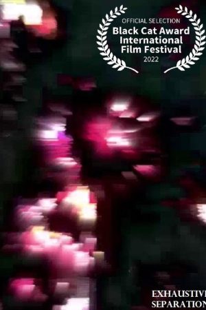 Exhaustive Separation (2022) poster