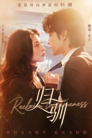 归驯 (2026) poster