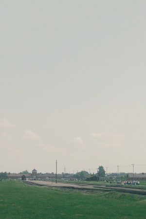 La Visite (2016) poster