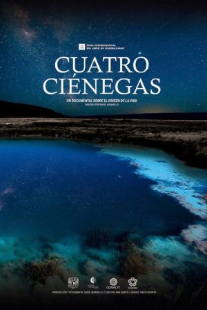 Cuatro Ciénegas (2018) poster