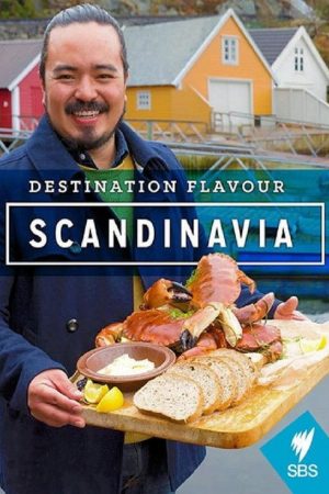 Destination Flavour Scandinavia (2016) poster