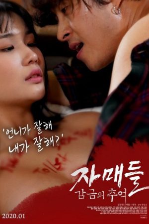 Sisters: Memories of Confinement (2020) poster