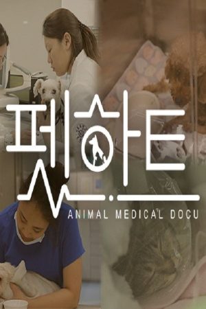 펫하트 (2019) poster