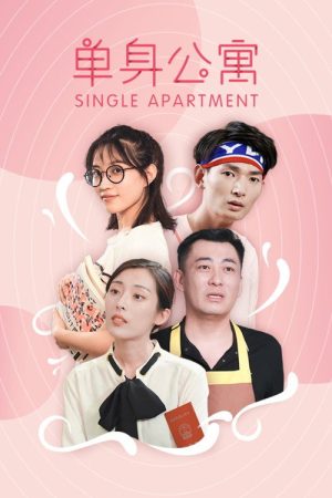 单身公寓 (2020) poster