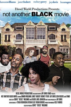 Not Another Black Movie (2016) poster