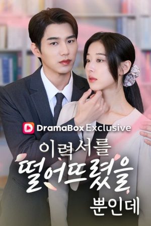 The CEO’s Secret Lover (2026) poster