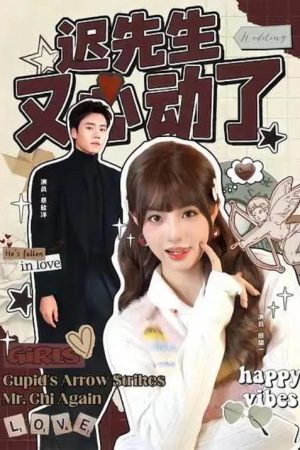 迟先生又心动了 (2025) poster