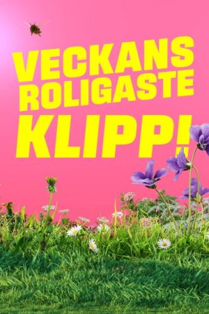 Veckans roligaste klipp (2026) poster