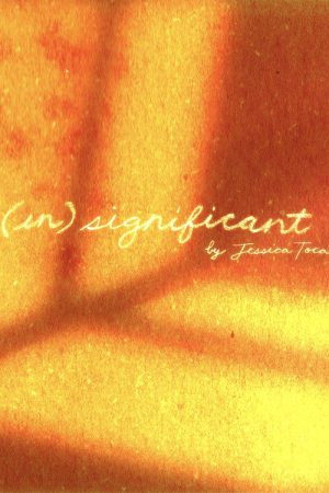 (in)significant (2026) poster