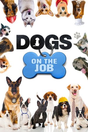 Dogs On the Job (2019) poster