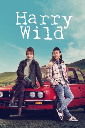 Harry Wild (2022) poster