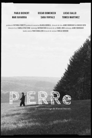 PIERRe (2026) poster