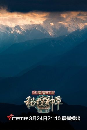 秘境神草 (2017) poster