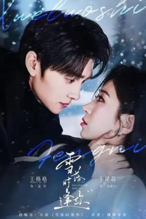 雪落时逢你 (2026) poster