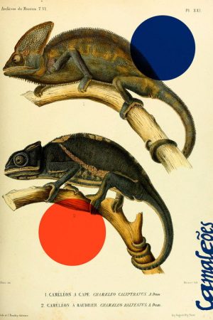 Chameleons (2022) poster