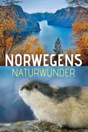 Norwegens Naturwunder (2018) poster