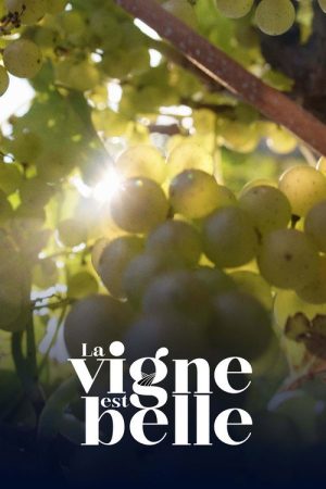La vigne est belle (2022) poster
