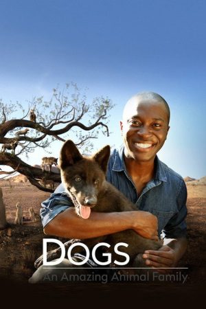 Dogs: An Amazing Animal Family (2017) poster