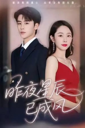 昨夜星辰已成風 (2025) poster