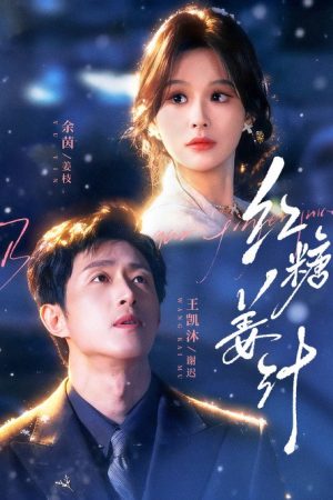 红糖姜汁 (2026) poster