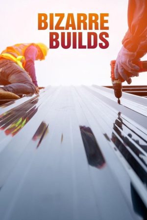 Bizarre Builds (2020) poster