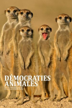 Démocraties animales (2021) poster