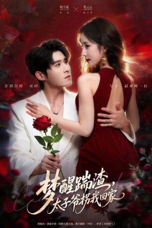 梦醒踹渣，太子爷拐我回家 (2026) poster