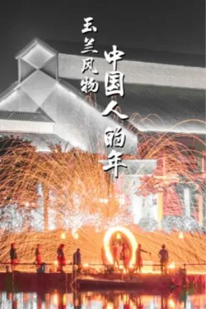 中国人的年 (2019) poster