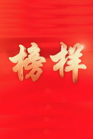 榜样 (2016) poster