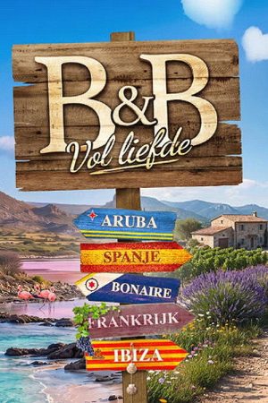 B&B Vol Liefde (2021) poster