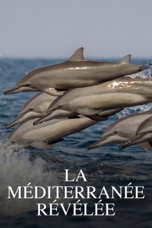 La Méditerranée révélée (2023) poster