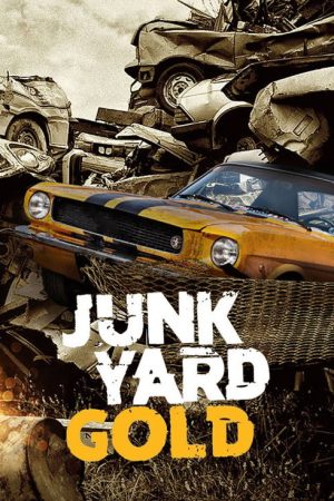 Roadkill’s Junkyard Gold (2017) poster