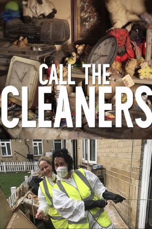 Call the Cleaners (2017) poster