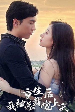 重生后我被总裁宠上天 (2023) poster