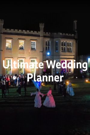 Ultimate Wedding Planner (2023) poster