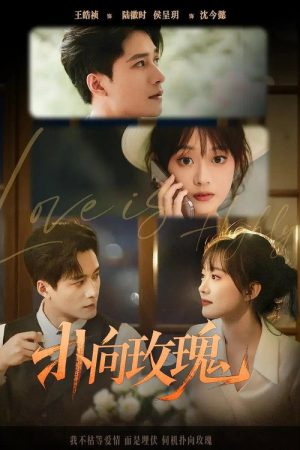 扑向玫瑰 (2025) poster