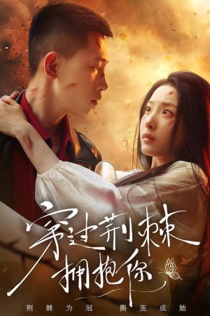 穿过荆棘拥抱你 (2025) poster