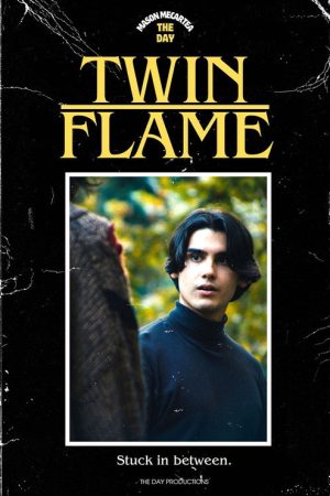 Twin Flame (2024) poster