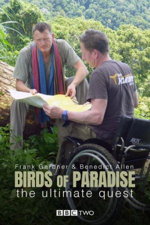 Birds of Paradise: The Ultimate Quest (2017) poster