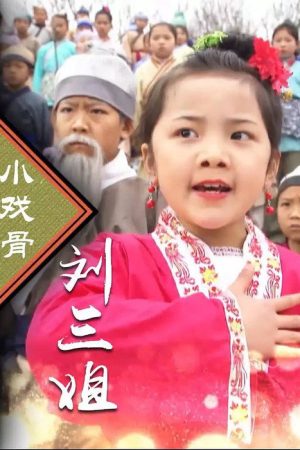 小戏骨：刘三姐 (2016) poster
