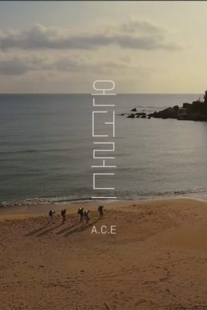 A.C.E On The Road (2020) poster