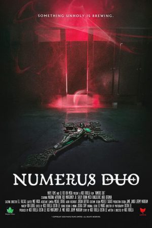Numerus Duo (2021) poster