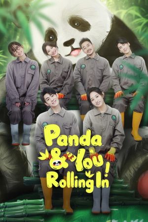 Panda & You Rolling In (2025) poster
