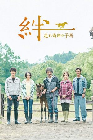 Ties: A Miraculous Colt (2017) poster