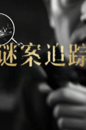 谜案追踪 (2019) poster