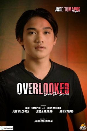 Overlooked Love the Series (2021) poster