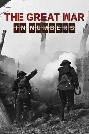 The Great War in Numbers (2017) poster