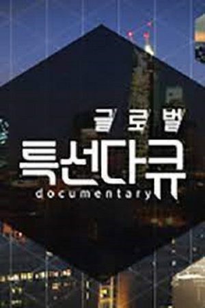 글로벌 특선다큐 (2019) poster