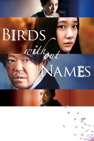 Birds Without Names (2017) poster