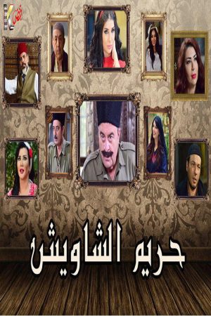 حريم الشاويش (2017) poster
